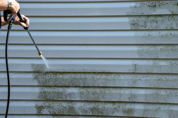 Trusted Louisville, IL Siding Experts